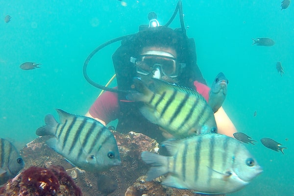 Scuba Diving in Malvan | Tarkarli Scuba Diving Charges