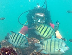 How to Reach Tarkarli | Scuba Diving in Malvan | Water Sports in Tarkarli
