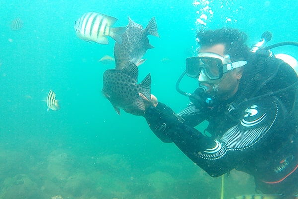 Scuba Diving in Malvan | How to Reach Tarkarli