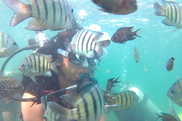 Scuba Diving in Malvan | Water Sports in Malvan