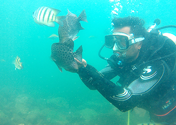 Scuba Diving in Tarkarli | Scuba Diving in Malvan